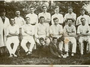 Cricket