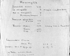 S0415 1901 Census return