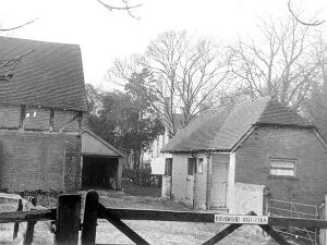 Bushwood