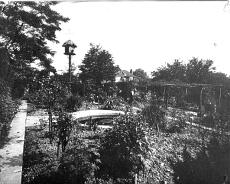 Dovepond
