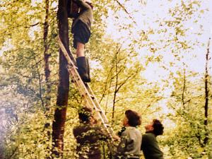 Forestry Project