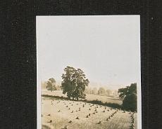 SCAN0442