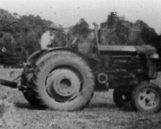 S1818